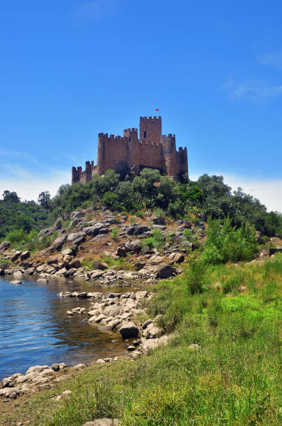 castello medievale di almourol a ribatejo, portogallo - almourol foto e immagini stock