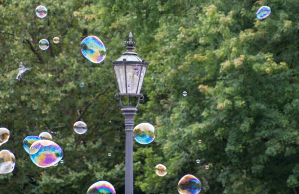 istock Bubbles And Street Light Against Trees 907693094