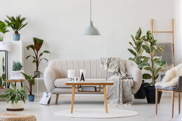 Cozy living room interior