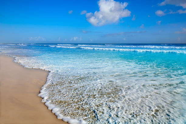 istock Daytona Beach in Florida shore USA 907715896