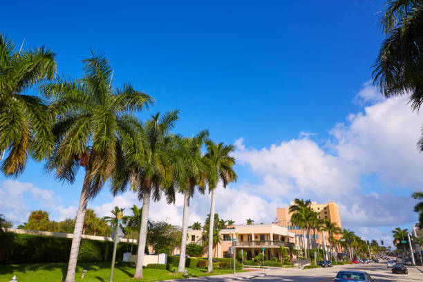 Del Ray Delray beach Florida USA Del Ray Delray beach in Florida USA Palm trees street delray beach fl stock pictures, royalty-free photos & images