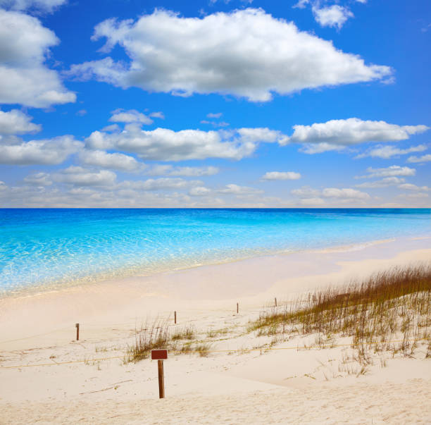 istock Destin beach in florida ar Henderson State Park 907730544