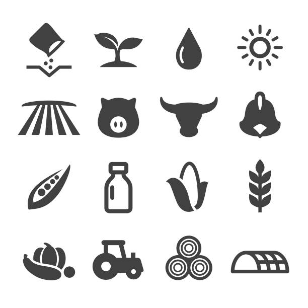 ilustrações de stock, clip art, desenhos animados e ícones de farming icons - acme series - crop