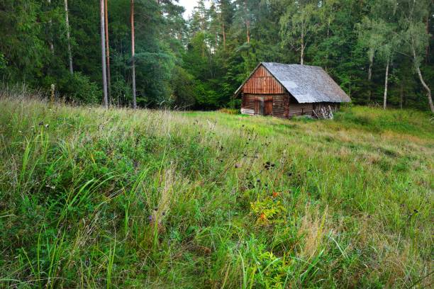 istock Countryside house in rural forest area, Latvia 907739736
