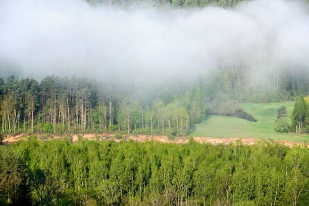 istock view on Gauja valley in spring in Sigulda, Latvia 907740058
