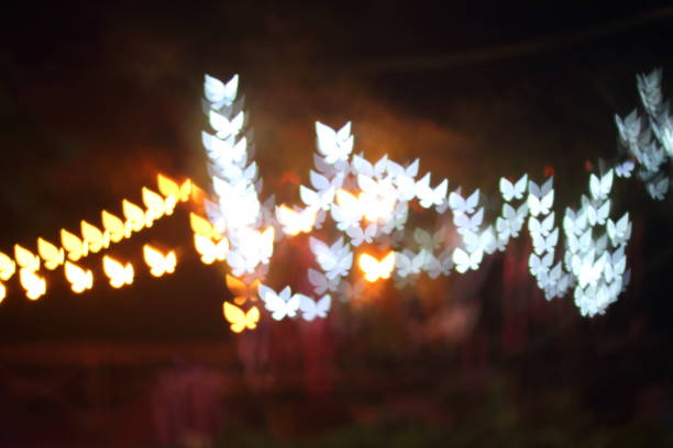 istock Light, beautiful bokeh butterfly shaped and blur at night. 907740530