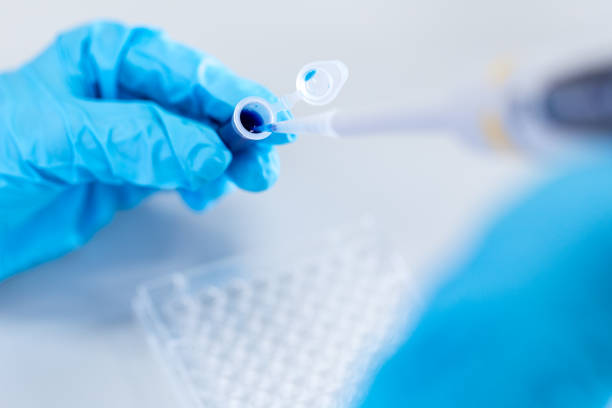 istock Biochemical analysis and Chemical analysis  in Lab. 907741970