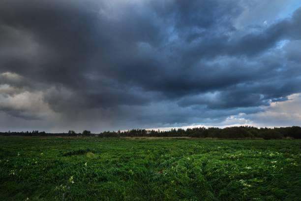 istock Dark dramatic rain clouds over countryside landscape. Autumn in Latvia. 907745642
