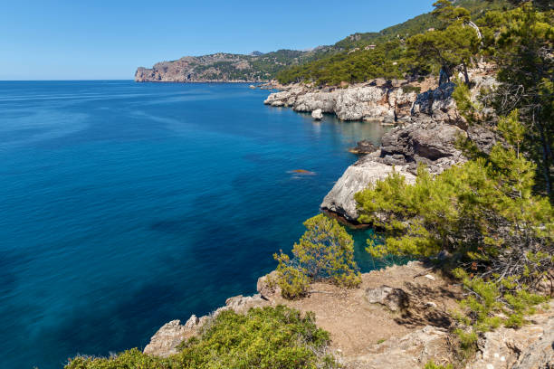 istock the sea on Palma de Mallorca 907748182