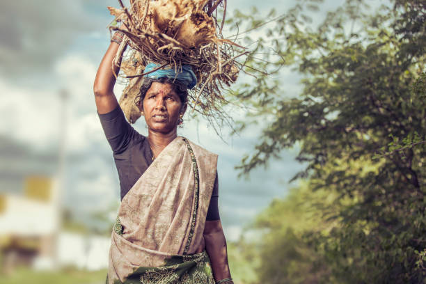 istock Indian women carrying dry sticks 907752958