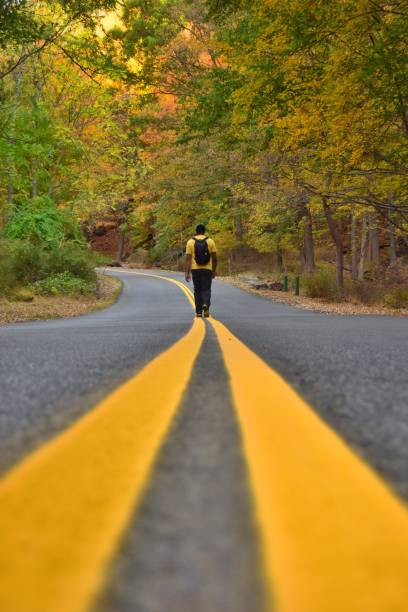 istock Rear View Of Man Walking On Road In Forest 907767722