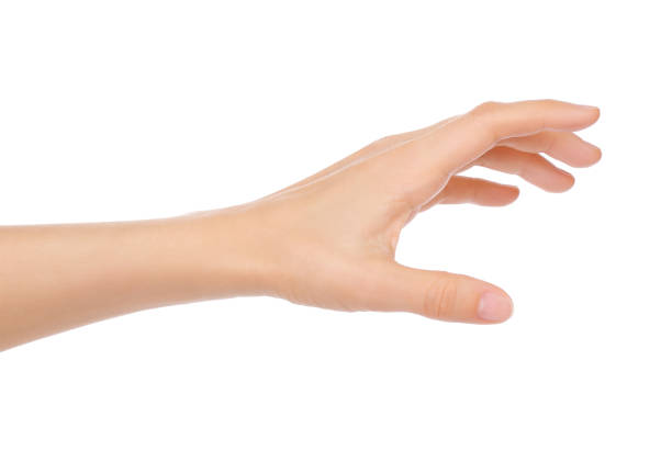 istock Woman hand on white background 907769598