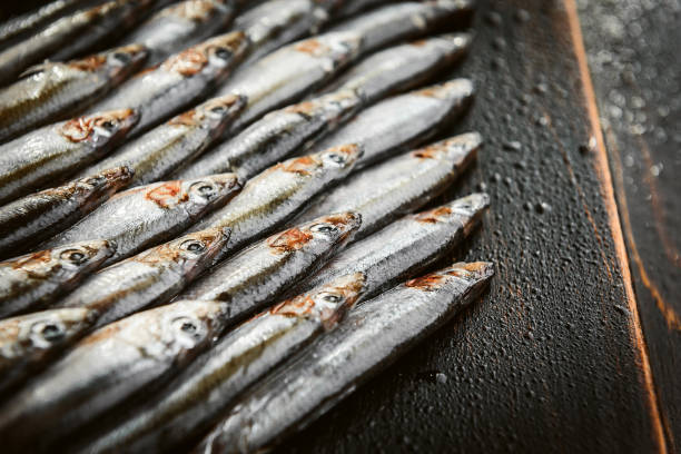 istock fresh raw fish anchovy and sprat on a wooden surface 907781800