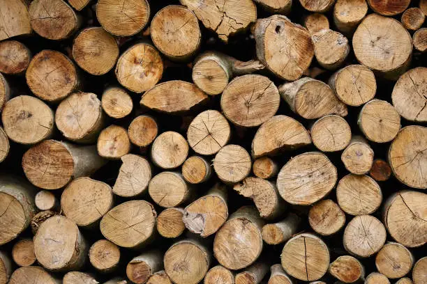 Photo of logs background