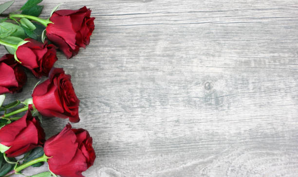 istock Beautiful Red Roses Still Life Over Rustic Wooden Background 907816488