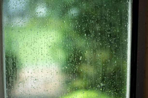 istock Abstract blurred of wet window pane with raindrops and greenery background 907816626