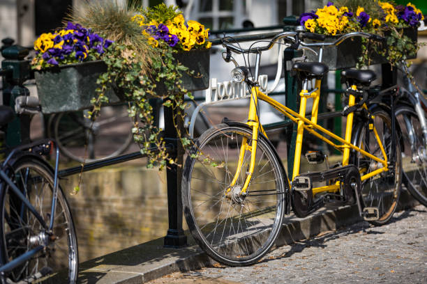 istock yellow tandem bike on the bridge 907819312