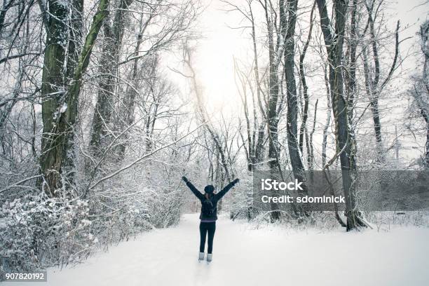 Woman Enjoying Snow Covered Forest Stock Photo - Download Image Now - Outdoors, Winter, Adult