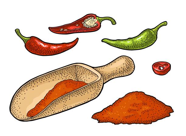 ilustrações, clipart, desenhos animados e ícones de frutos do género capsicum. pimentão inteiro, metade e corte. vector vindima gravada - red chili pepper