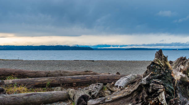 istock Ocean And Mountain Landscape 907835276