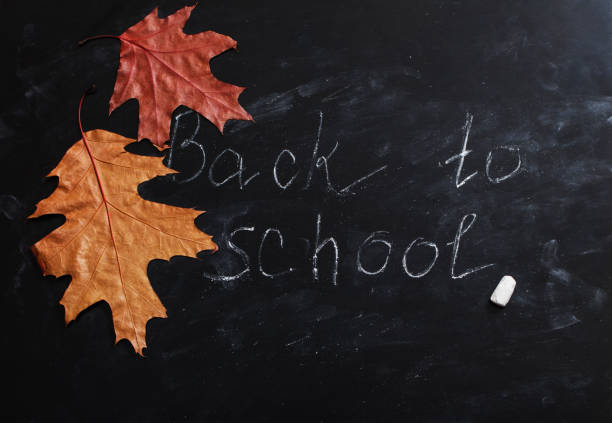 black blackboard with autumn leaves