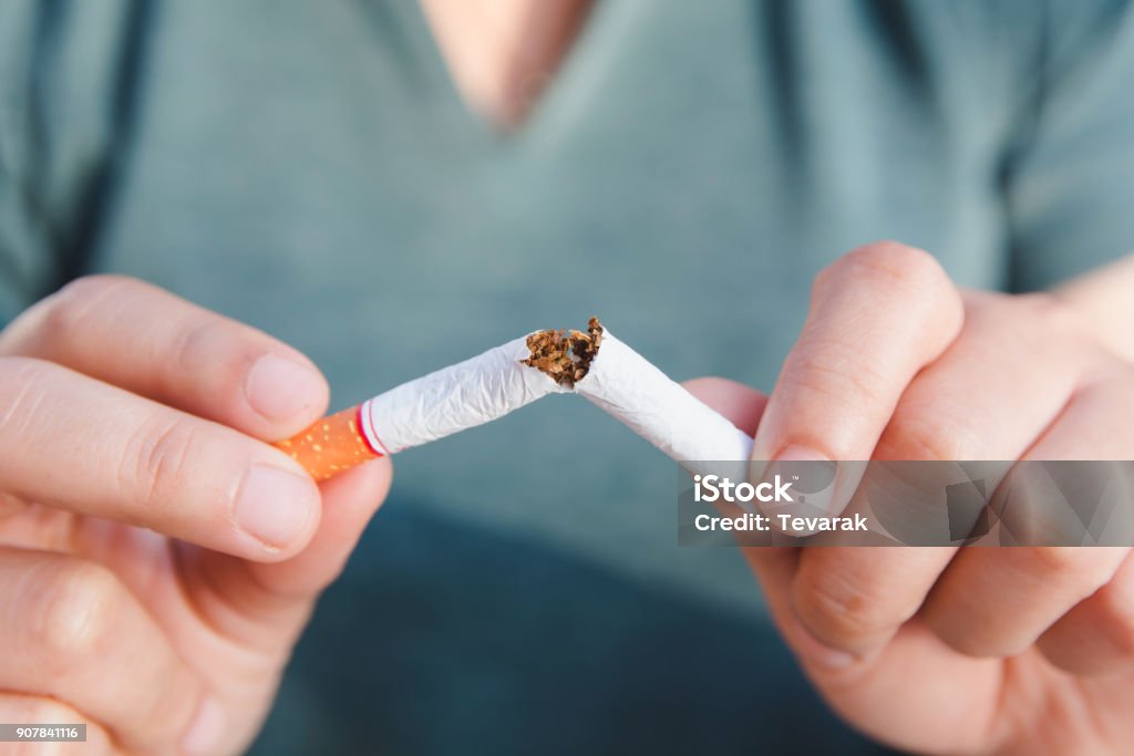 停止タバコ、女性の手は、クリッピングパスでタバコを破ります - タバコをやめるのロイヤリティフリーストックフォト