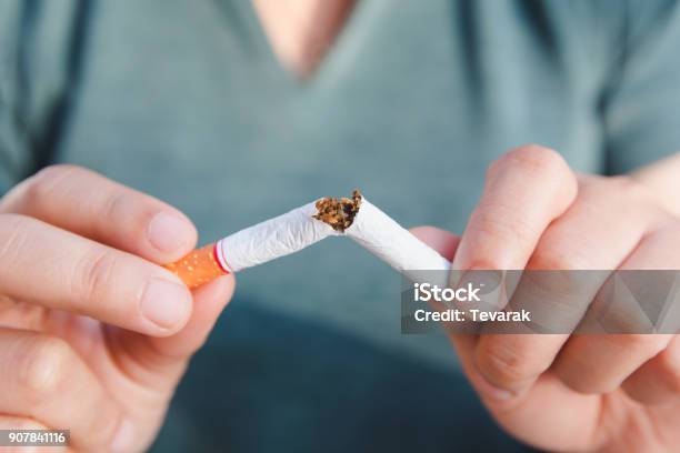 停止タバコ女性の手はクリッピングパスでタバコを破ります - タバコをやめるのストックフォトや画像を多数ご用意 - タバコをやめる, 紙巻煙草, 喫煙問題