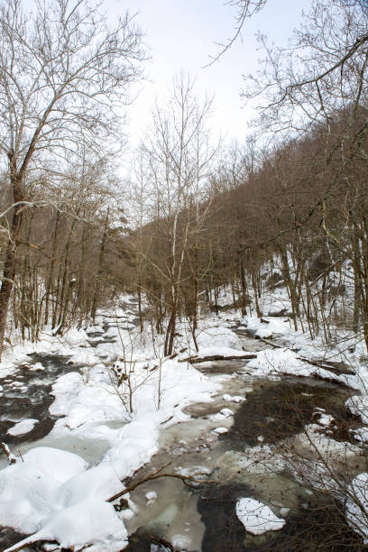 istock Frozen Mountain River at Crabtree Falls State Park in Virginia 907843196