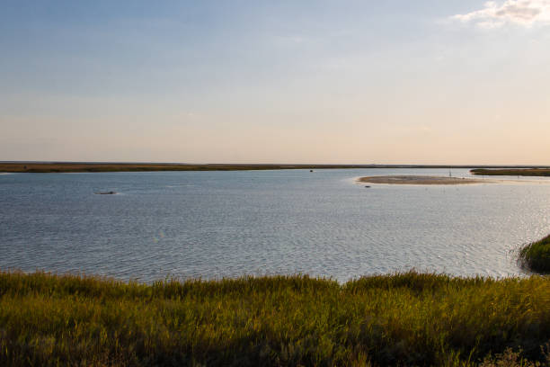 istock View on the Sivash lake, Ukraine 907846094