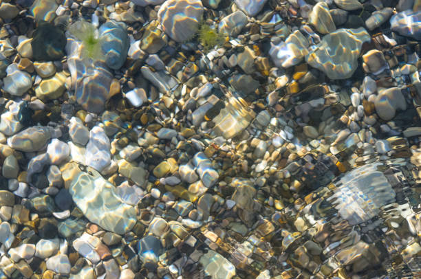 istock sea pebble beach with multicoloured stones, waves with foam 907846428