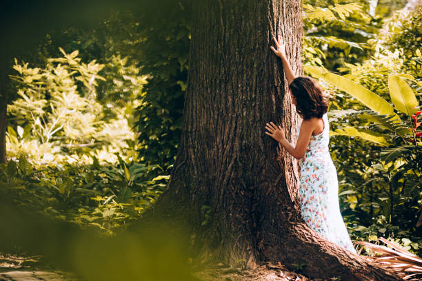 istock Young woman contemplating the forest tree 907846746