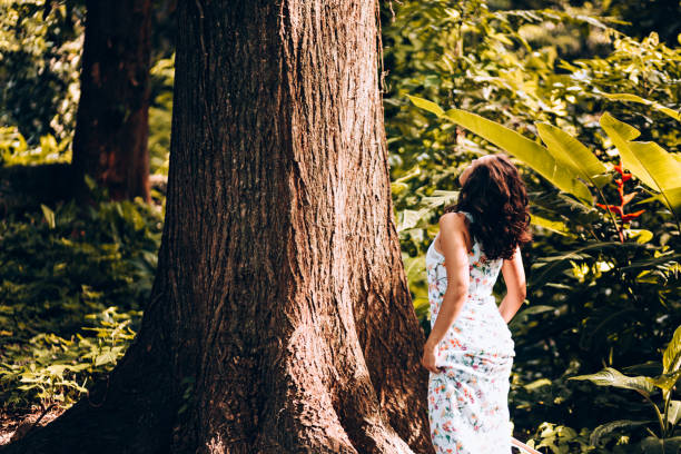 istock Young woman contemplating the forest tree 907847656