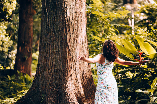 istock Young woman with arms open contemplating the forest tree 907848752