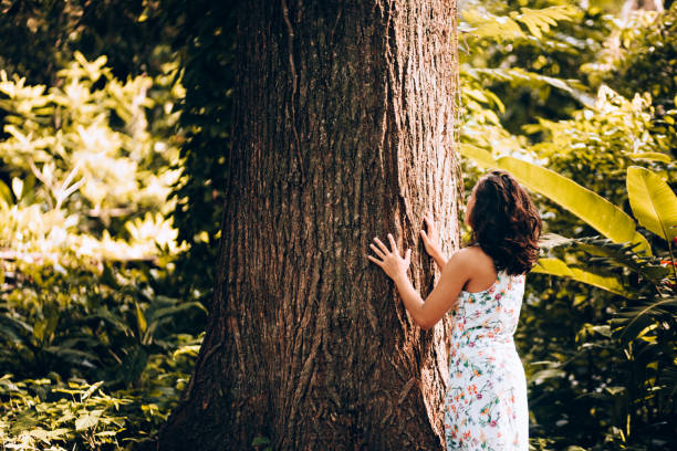 istock Young woman contemplating the forest tree 907849214