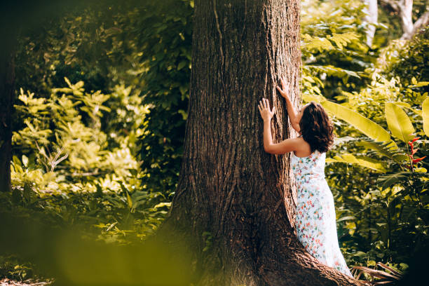 istock Young woman contemplating the forest tree 907849232