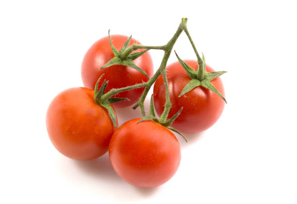istock Ripe fresh tomatoes branch isolated on white background with a clipping path. 907849442