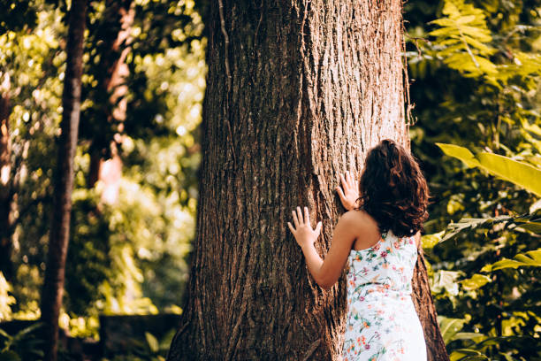 istock Young woman contemplating the forest tree 907849528