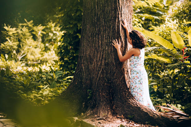 istock Young woman contemplating the forest tree 907849910