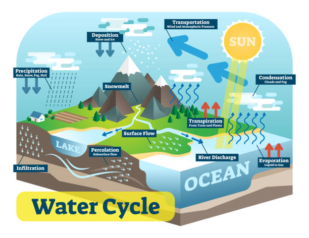 水循環グラフィック方式、ベクトルの等角投影図。 - ecosystem environment water nature点のイラスト素材／クリップアート素材／マンガ素材／アイコン素材