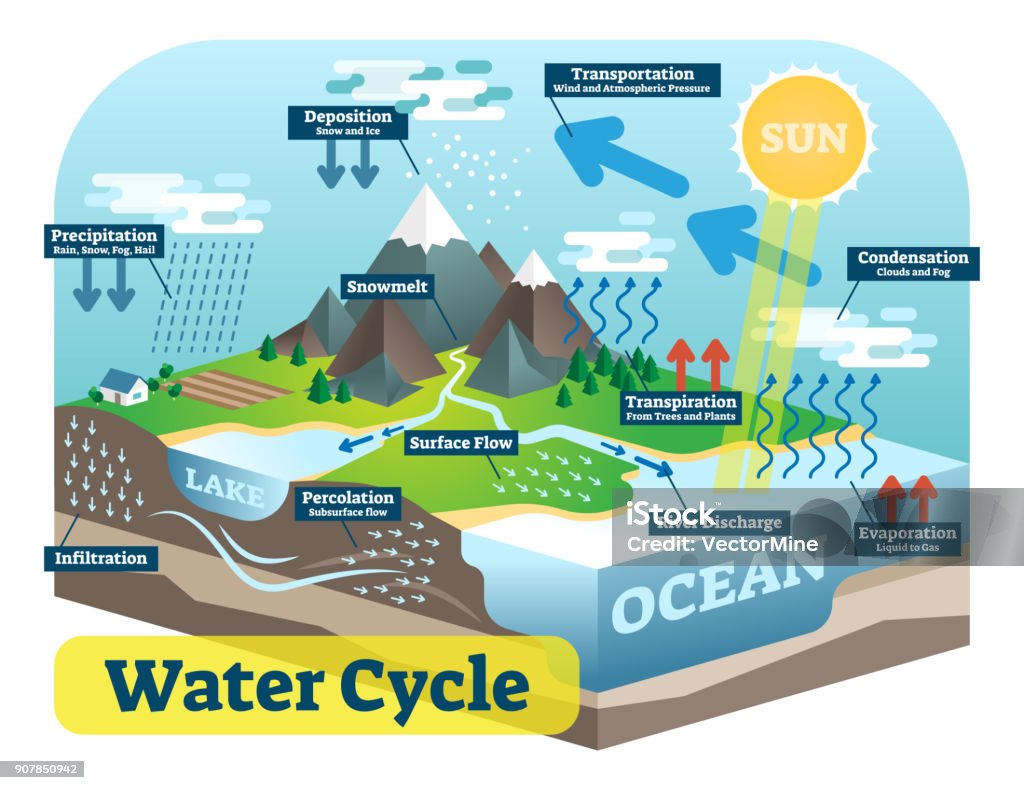 Water Cycle Graphic Scheme Vector Isometric Illustration Stock ...