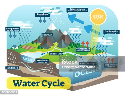 1,450 Ecosystem Diagram Stock Photos, Pictures & Royalty-Free ...