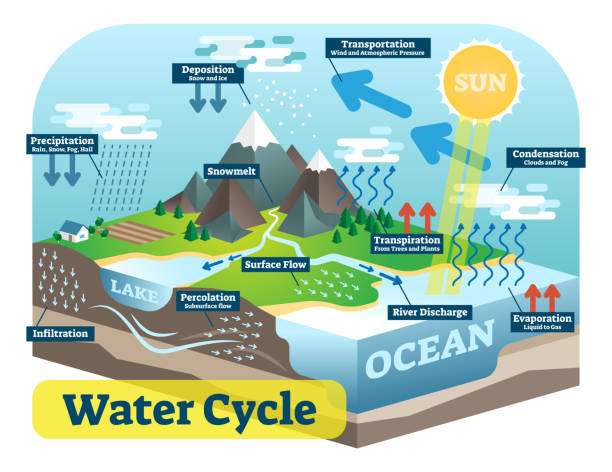 Water cycle graphic scheme, vector isometric illustration. Water cycle graphic scheme, vector isometric illustration with water bodies and geological relief. the water cycle stock illustrations