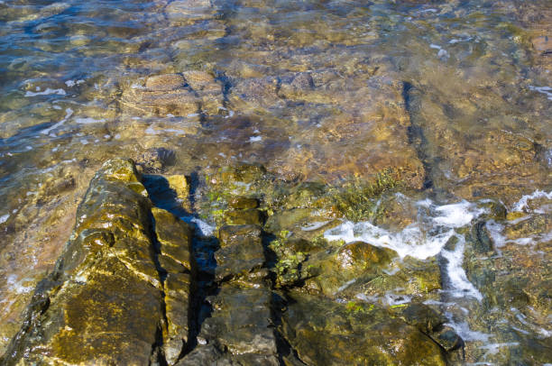 istock rocky sea shore with pebble beach, waves with foam 907851816