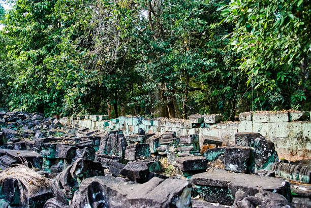 Ta Prohm Temple: During the rainy season, the humidity causes moss to grow on the stones used to build the temple