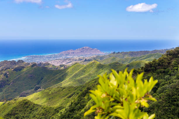 istock View from Kiliouou Trail of Diamond Head Crater 907853826