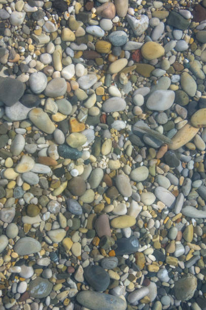istock sea pebble beach with multicoloured stones, waves with foam 907853876