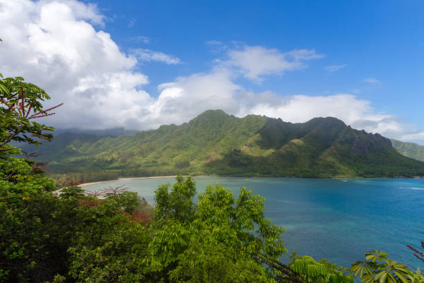 istock Kaluapuleho Point from Crouching Lion hike, Hawaii 907854550