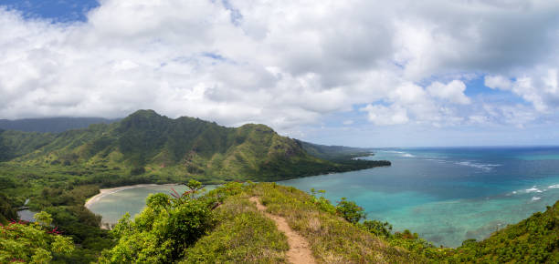 istock Panoramic view of coastline in Hawaii, USA 907855030