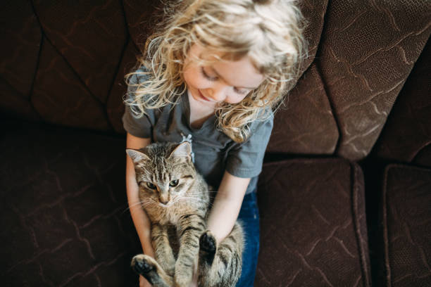 istock Cute Cat Cuddles With Little Girl 907855208