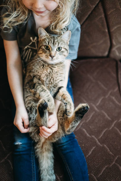istock Cute Cat Cuddles With Little Girl 907855246